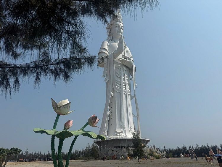 Giá vé tàu Sa Kỳ - Lý Sơn